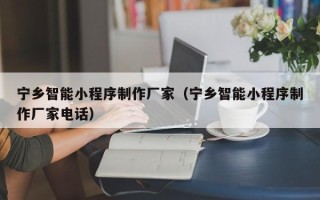 东方宁乡智能小程序制作厂家（宁乡智能小程序制作厂家电话）